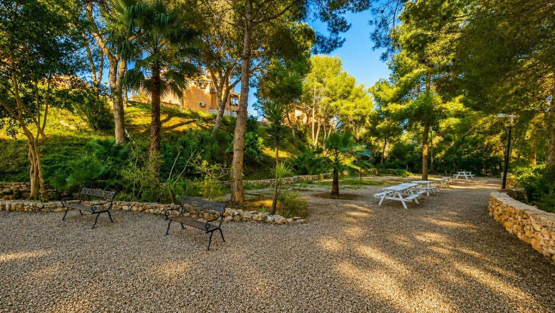 Venta - Apartment - Orihuela - Orihuela Costa