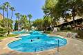 Venta - Apartment - Orihuela - Orihuela Costa