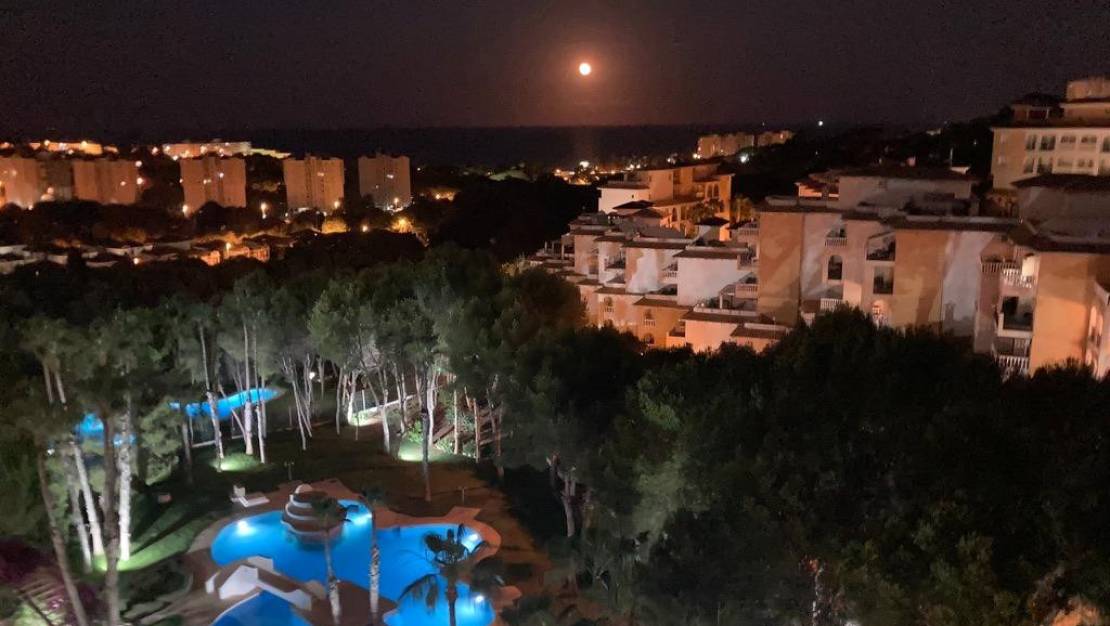 Venta - Apartment - Orihuela - Orihuela Costa