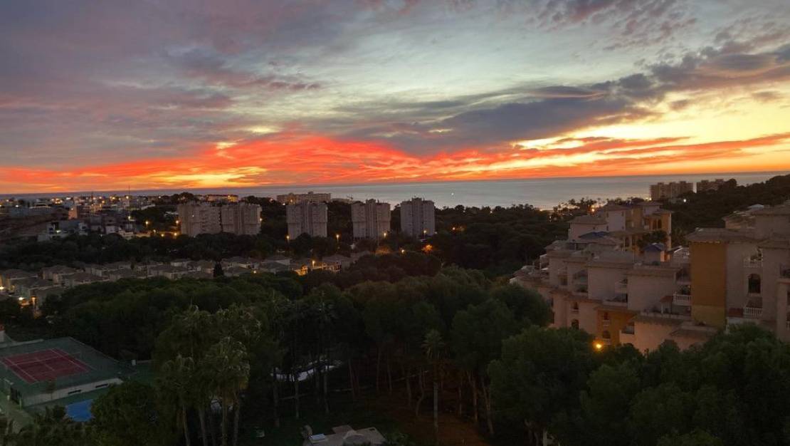 Venta - Apartment - Orihuela - Orihuela Costa