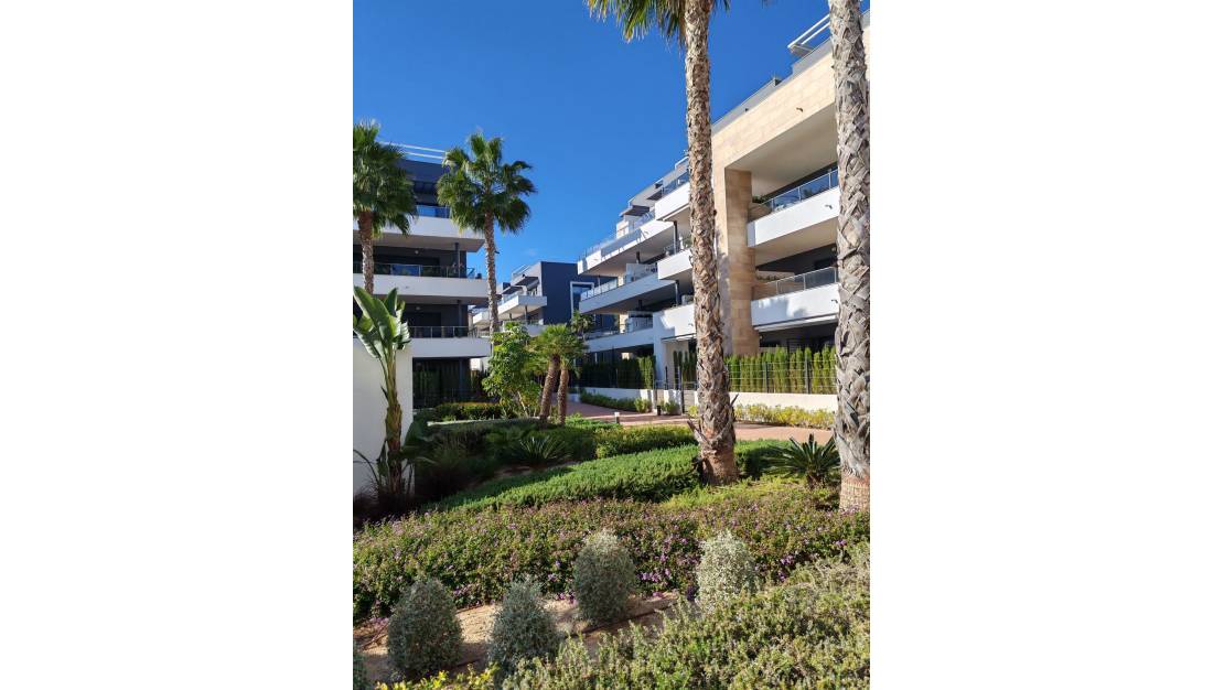 Venta - Apartment - Orihuela - Playa Flamenca