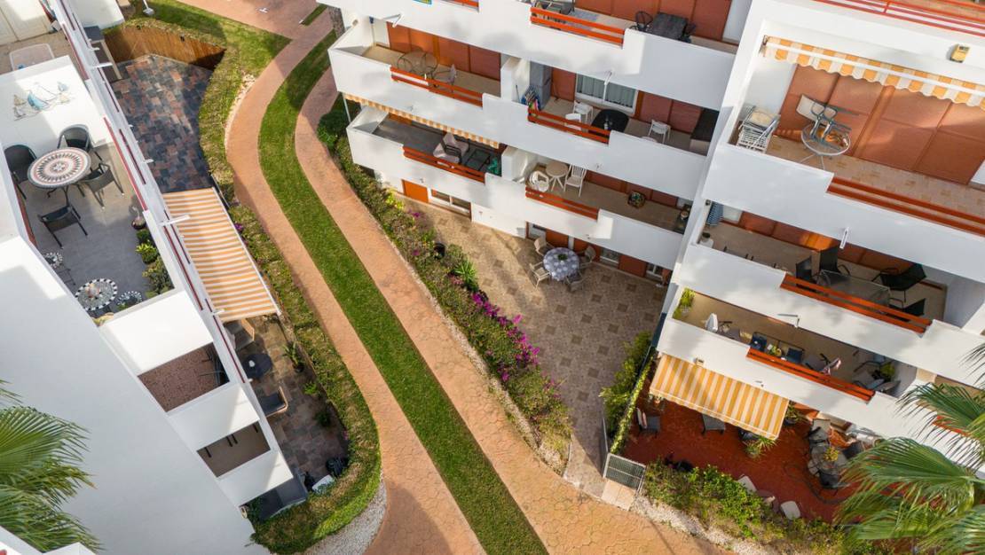 Venta - Apartment - Orihuela - Playa Flamenca