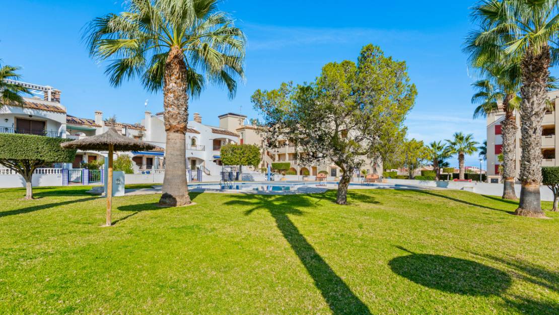 Venta - Apartment - Orihuela - Playa Flamenca