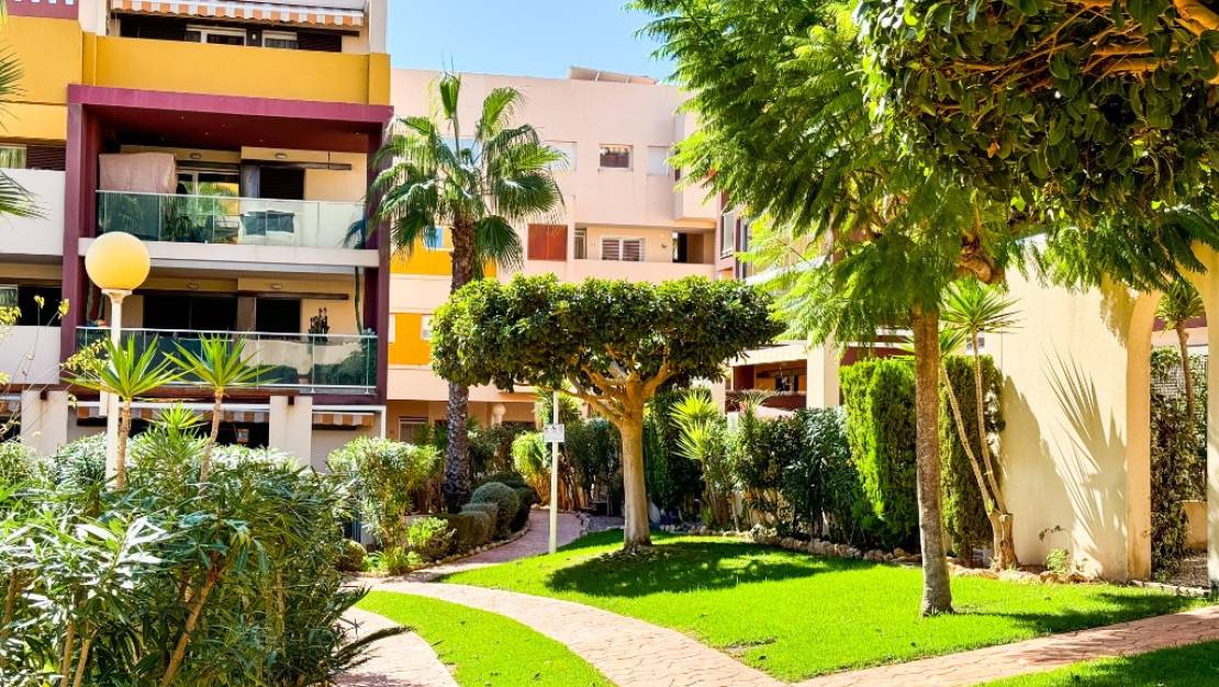 Venta - Apartment - Orihuela - Playa Flamenca
