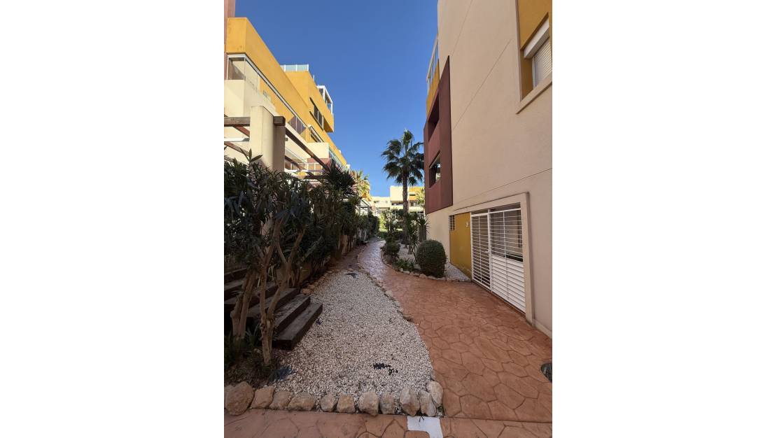 Venta - Apartment - Orihuela - Playa Flamenca