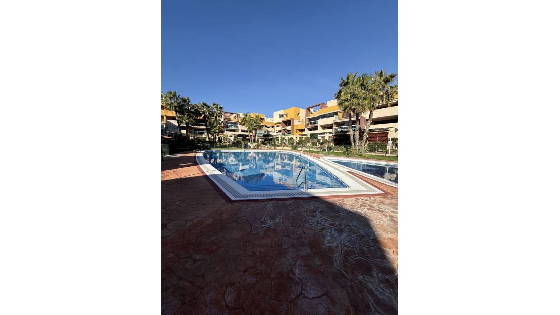 Venta - Apartment - Orihuela - Playa Flamenca