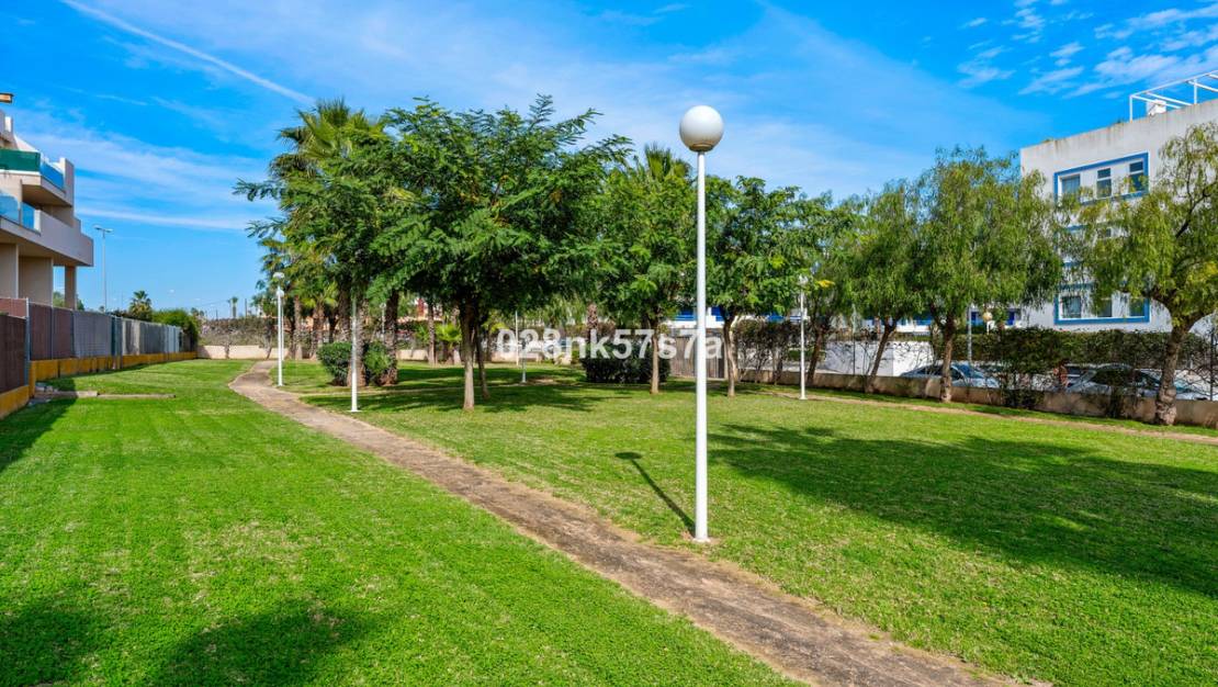 Venta - Apartment - Orihuela - Playa Flamenca