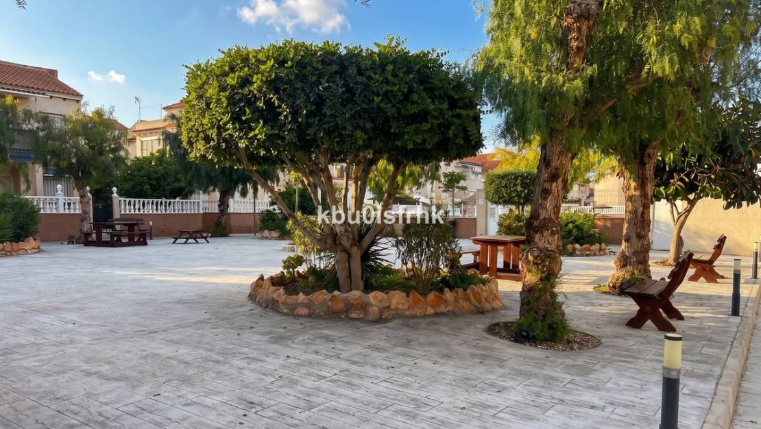 Venta - Apartment - Orihuela - Playa Flamenca