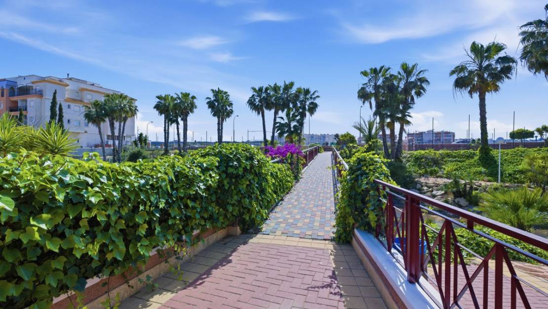 Venta - Apartment - Orihuela - Playa Flamenca