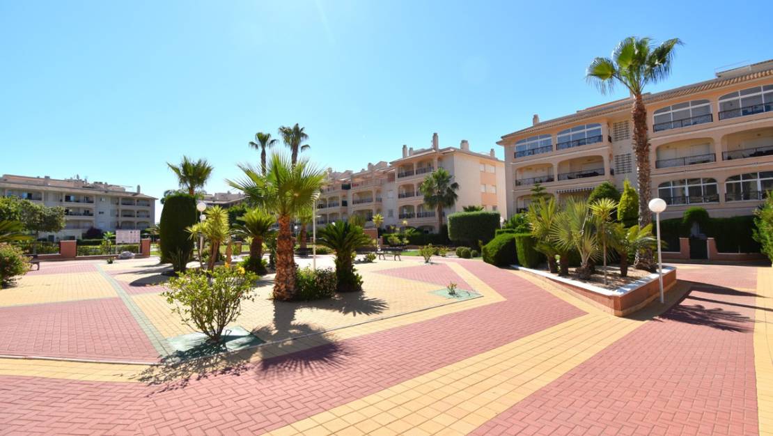 Venta - Apartment - Orihuela - Playa Flamenca