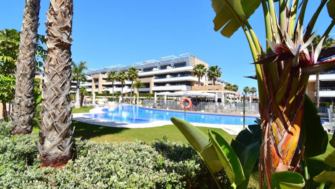 Venta - Apartment - Orihuela - Playa Flamenca