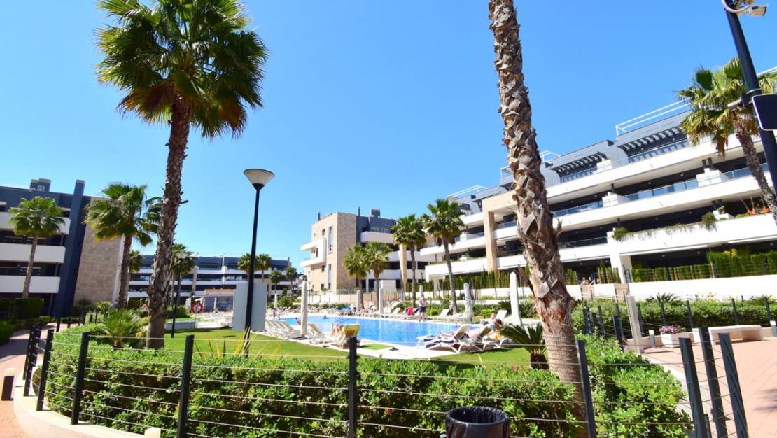 Venta - Apartment - Orihuela - Playa Flamenca