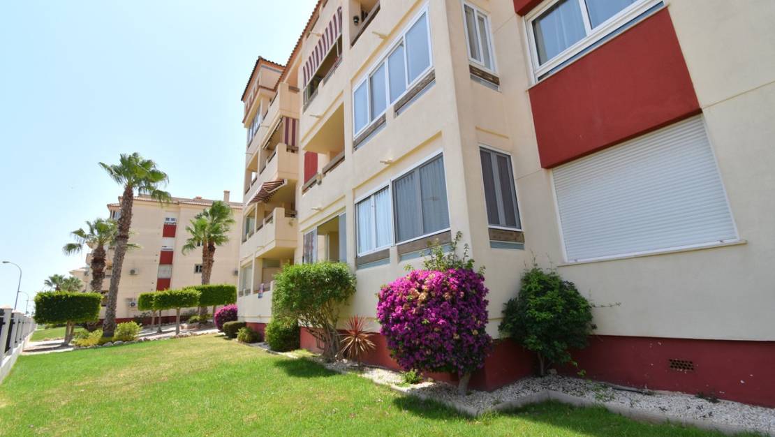 Venta - Apartment - Orihuela - Playa Flamenca