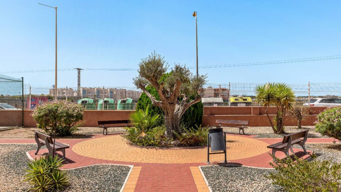 Venta - Apartment - Orihuela - Playa Flamenca