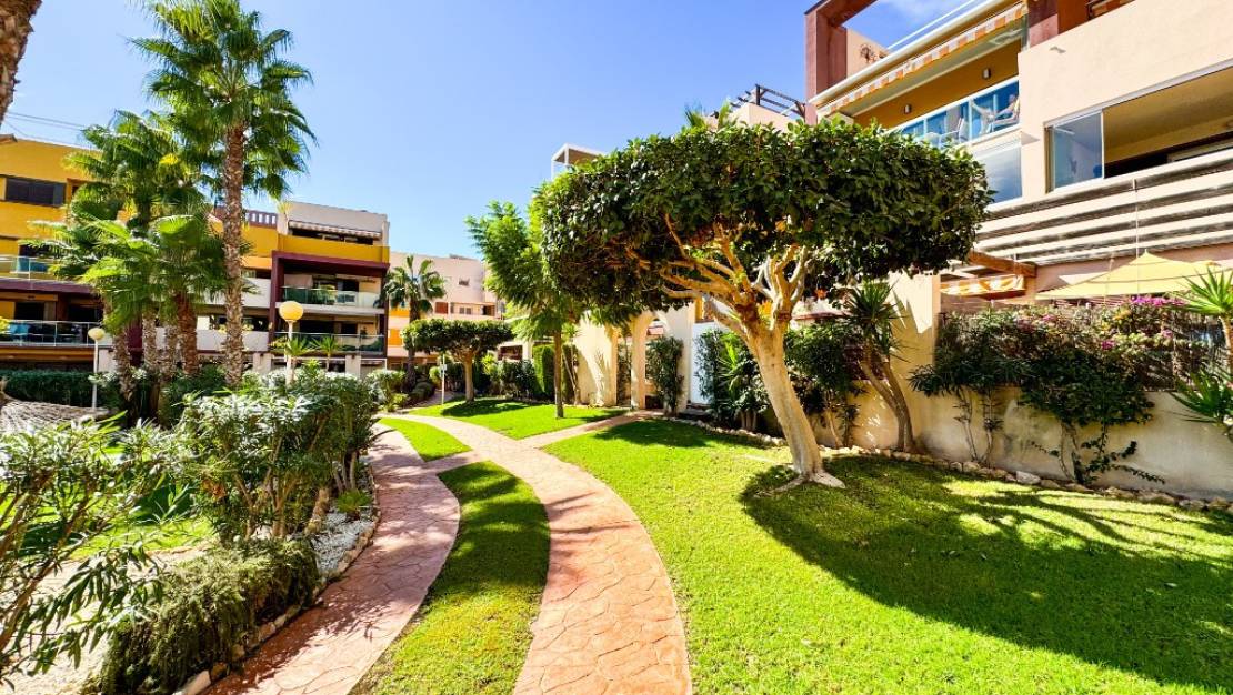 Venta - Apartment - Orihuela - Playa Flamenca