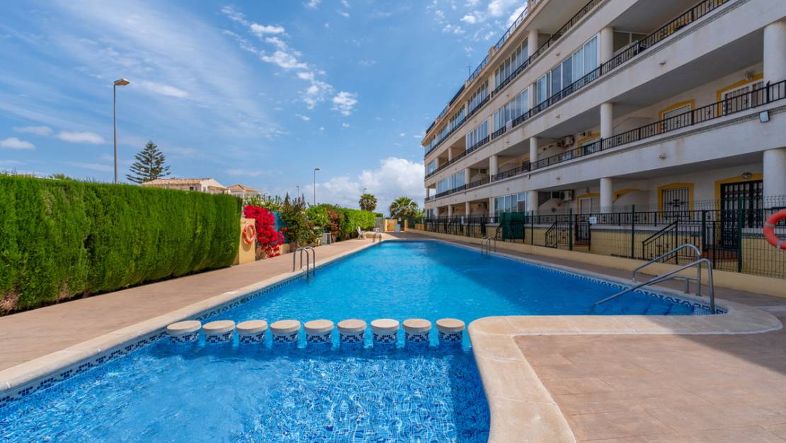 Venta - Apartment - Orihuela - Playa Flamenca
