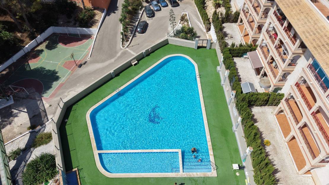 Venta - Apartment - Orihuela - Playa Flamenca