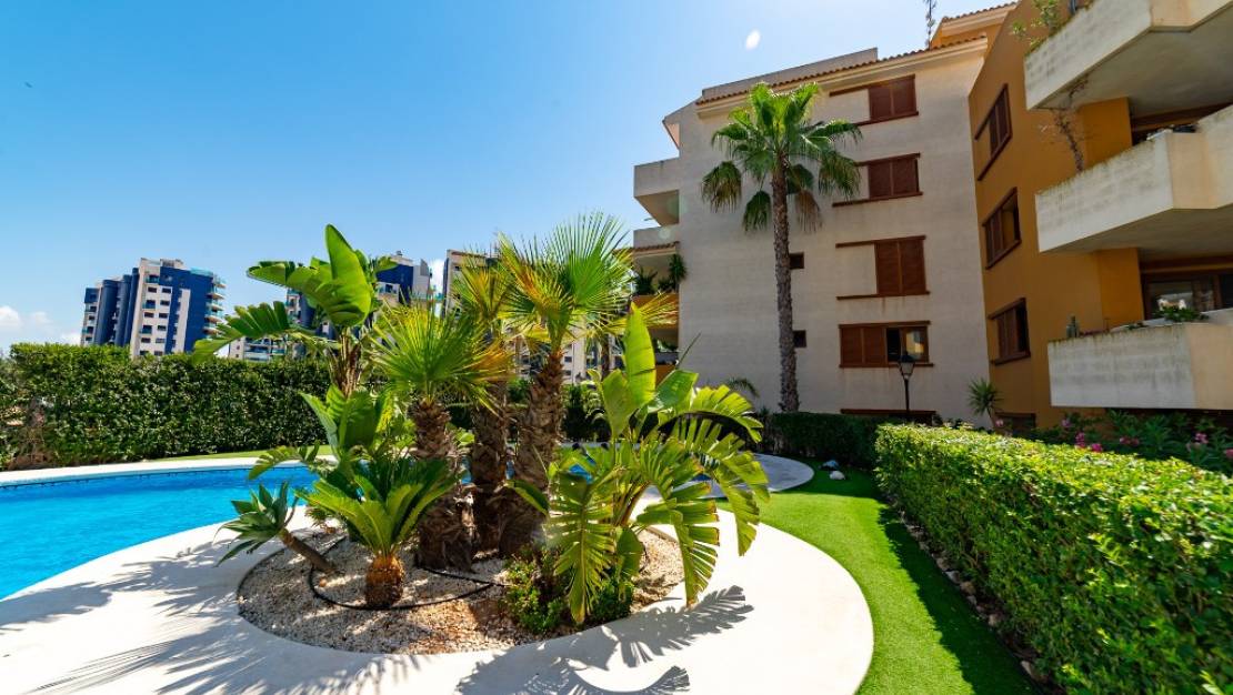 Venta - Apartment - Orihuela - Punta Prima