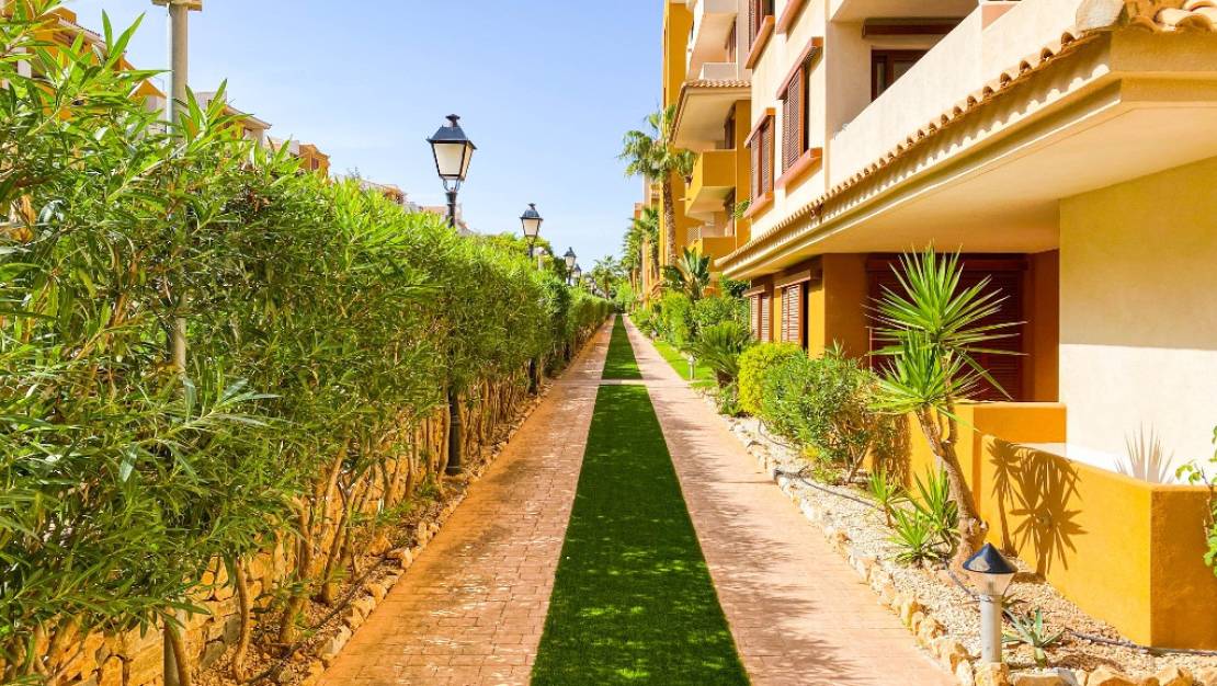 Venta - Apartment - Orihuela - Punta Prima