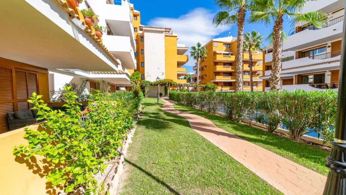 Venta - Apartment - Orihuela - Punta Prima