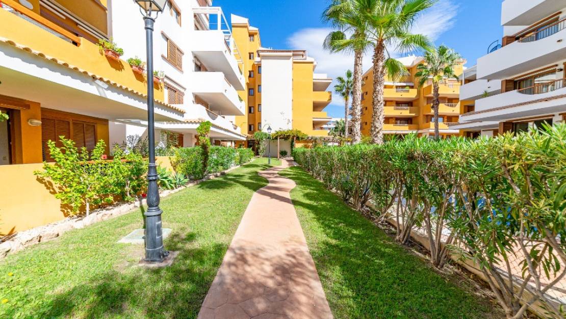Venta - Apartment - Orihuela - Punta Prima