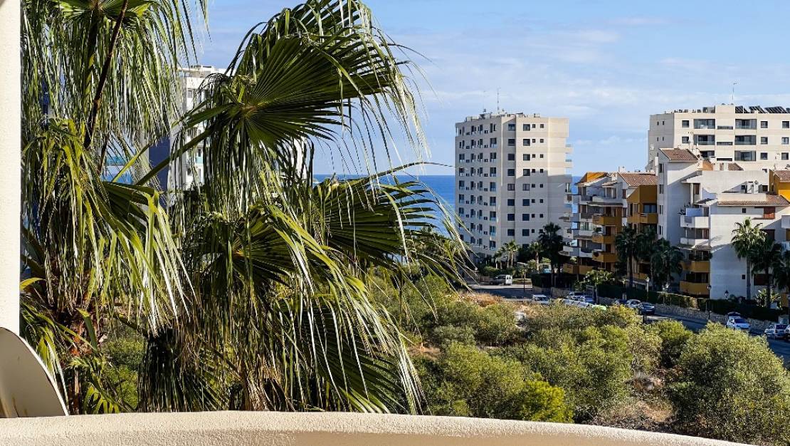Venta - Apartment - Orihuela - Punta Prima