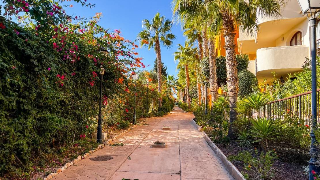 Venta - Apartment - Orihuela - Punta Prima