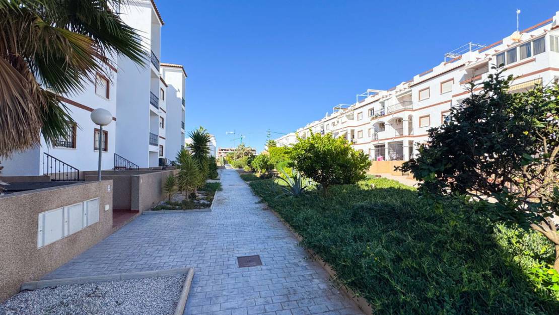 Venta - Apartment - Orihuela - Punta Prima