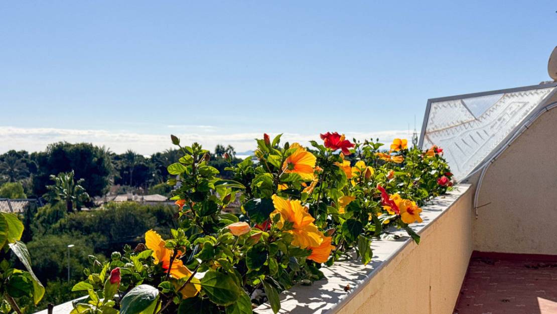 Venta - Apartment - Orihuela - Punta Prima