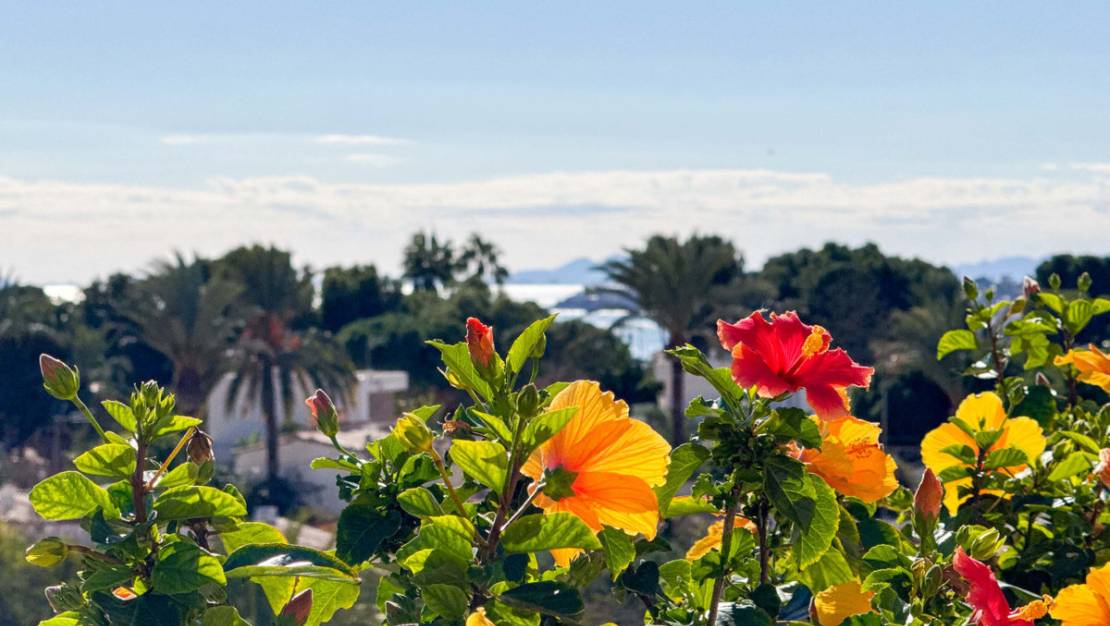 Venta - Apartment - Orihuela - Punta Prima