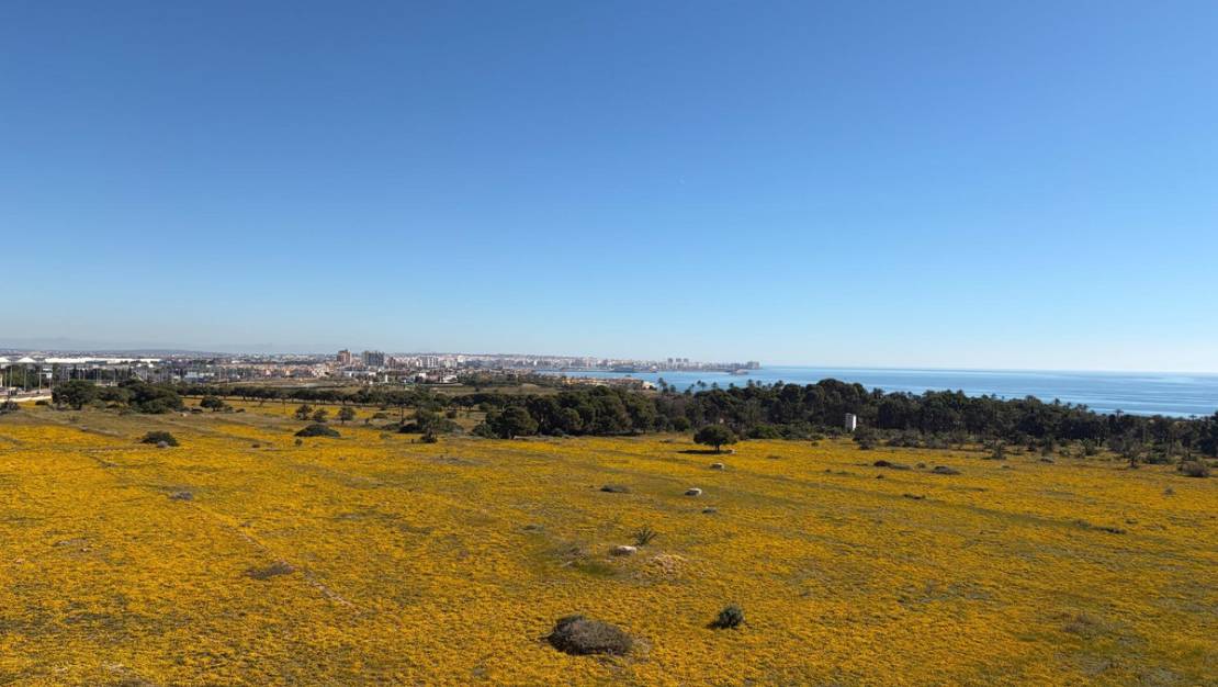 Venta - Apartment - Orihuela - Punta Prima