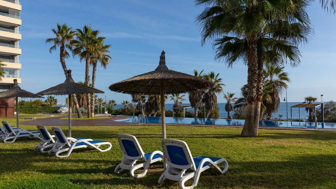 Venta - Apartment - Orihuela - Punta Prima