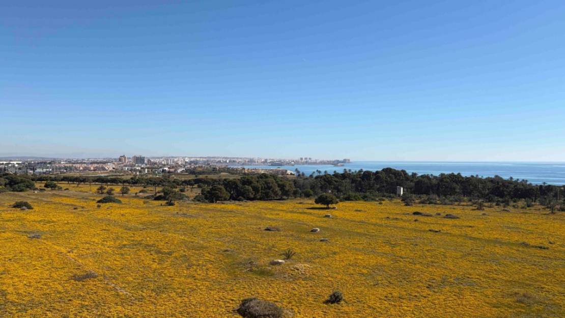 Venta - Apartment - Orihuela - Punta Prima