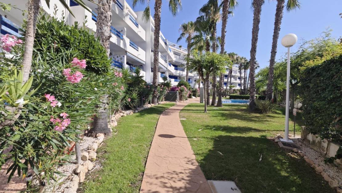 Venta - Apartment - Orihuela - Punta Prima