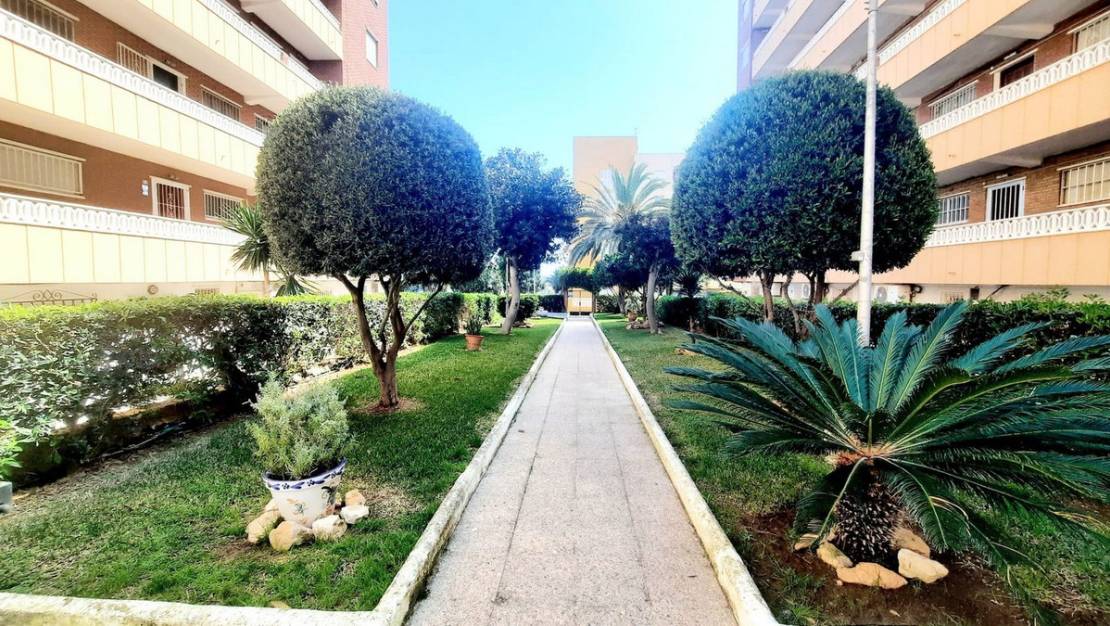 Venta - Apartment - Orihuela - Punta Prima