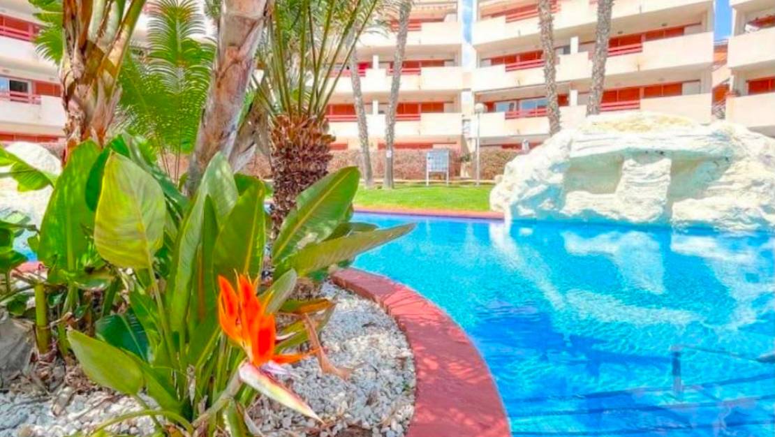 Venta - Apartment - Orihuela - Punta Prima