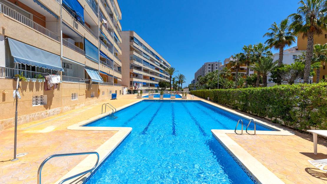 Venta - Apartment - Orihuela - Rocio del Mar