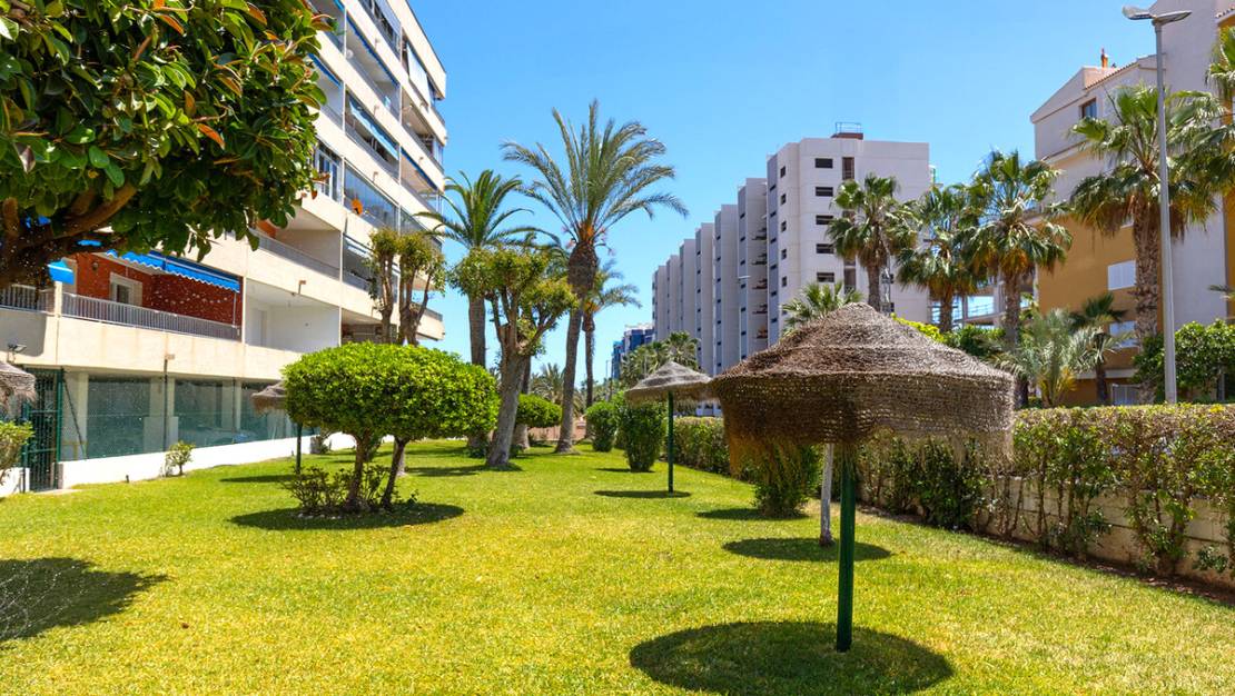 Venta - Apartment - Orihuela - Rocio del Mar