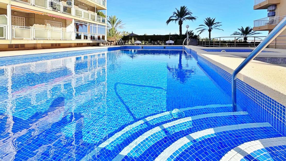 Venta - Apartment - Orihuela - Rocio del Mar