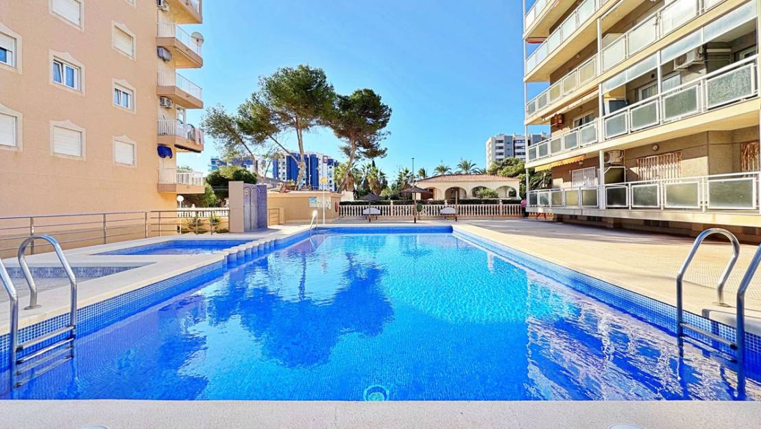Venta - Apartment - Orihuela - Rocio del Mar