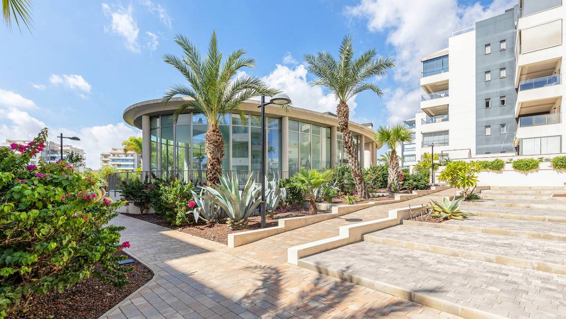 Venta - Apartment - Orihuela - Villamartin