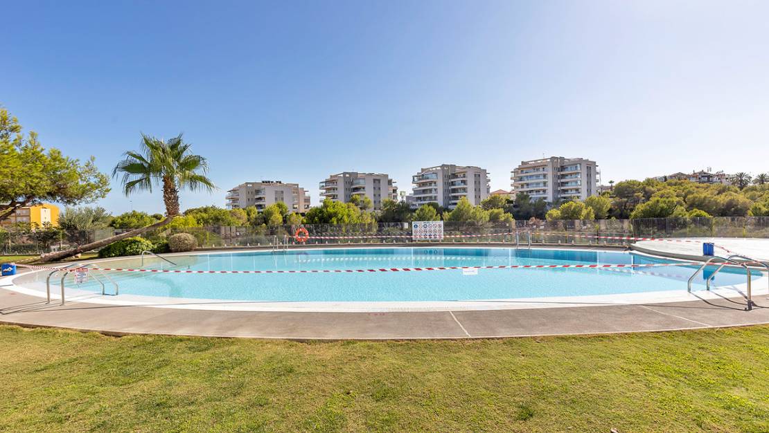 Venta - Apartment - Orihuela - Villamartin