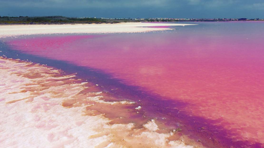 Venta - Apartment - Orihuela - Villamartin