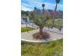 Venta - Apartment - Orihuela - Villamartin