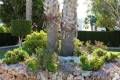 Venta - Apartment - Orihuela - Villamartin