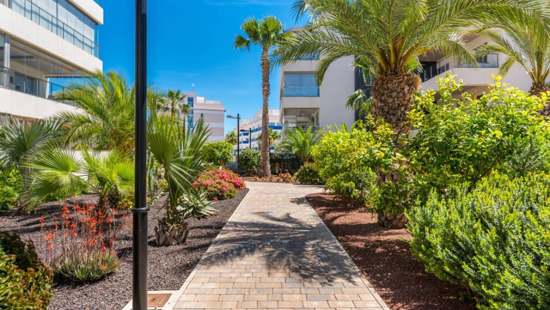 Venta - Apartment - Orihuela - Villamartin