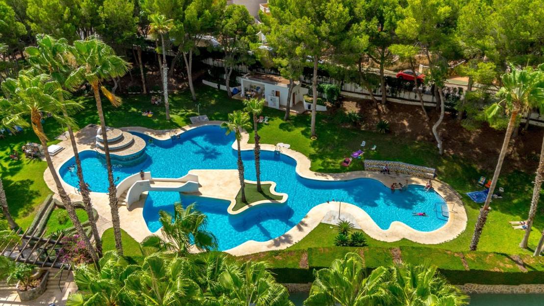 Venta - Apartment - Orihuela - Zona Centro