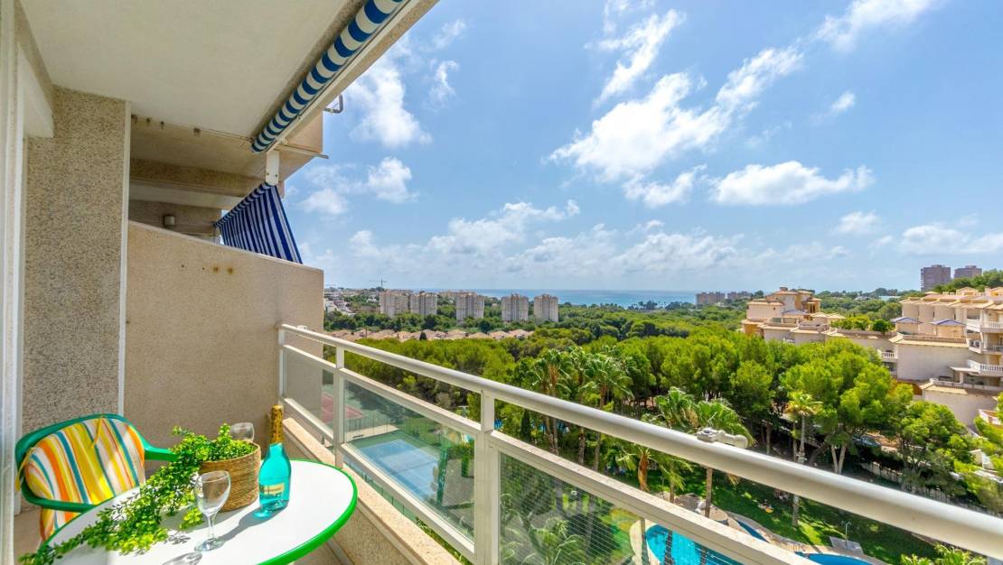 Venta - Apartment - Orihuela - Zona Centro