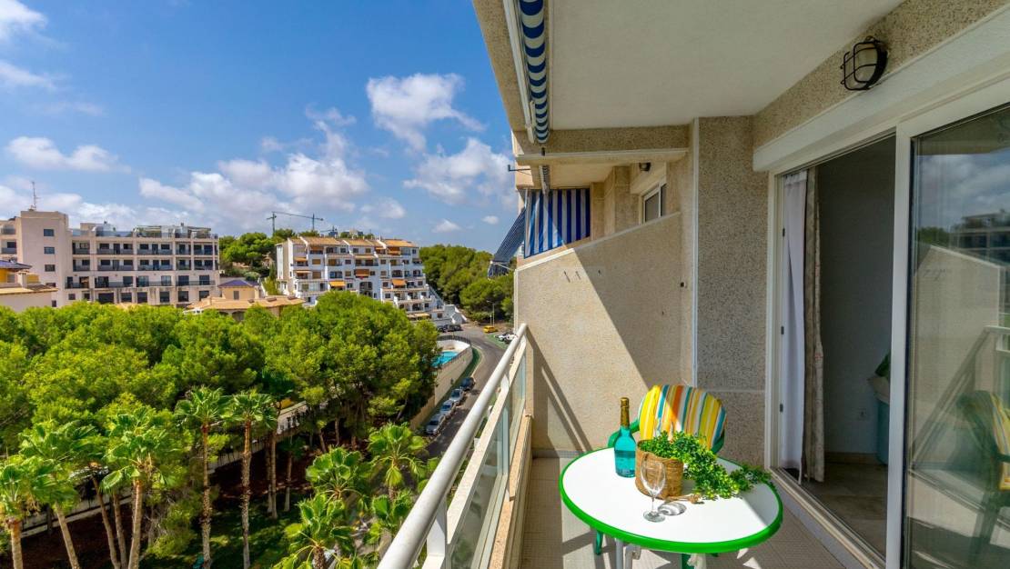 Venta - Apartment - Orihuela - Zona Centro