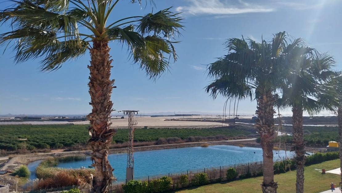 Venta - Apartment - Pilar de la Horadada - Pilar de la Horadada Centro